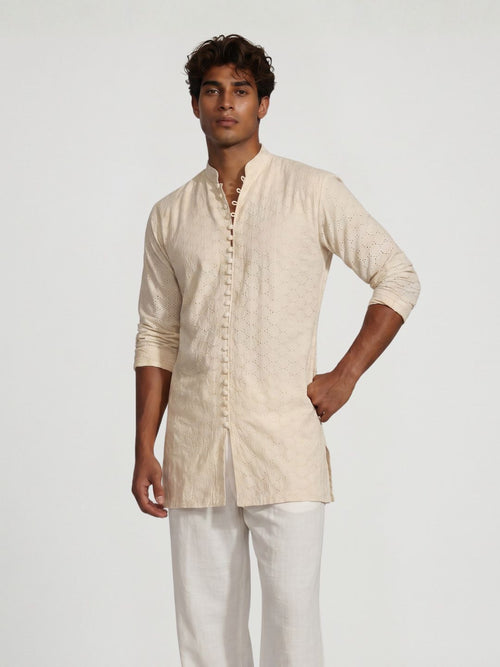 Ansh Chikankari Short Structured Kurti Top